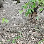 Διαμέρισμα Panoramablick Postwiese