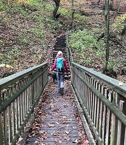 Panoramablick Postwiese Appartement Winterberg